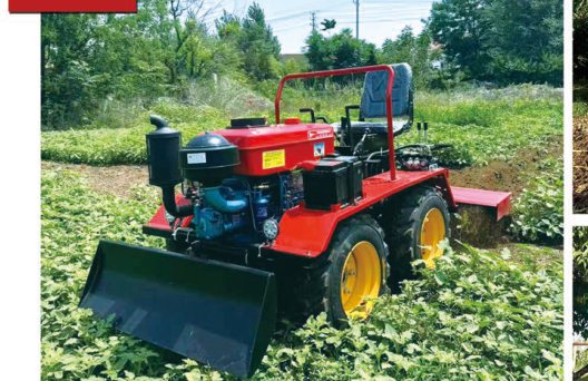 Mini orchard tractor